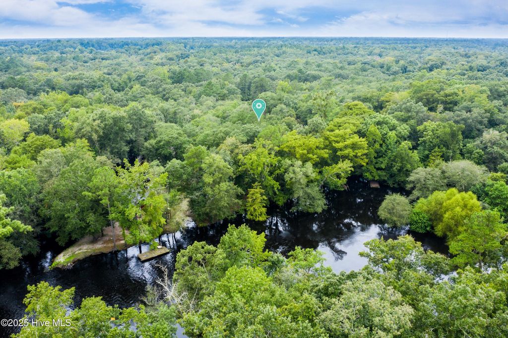 Photo of 9 Mallard Roost Drive, Burgaw, NC 28425 (MLS # 100524705)