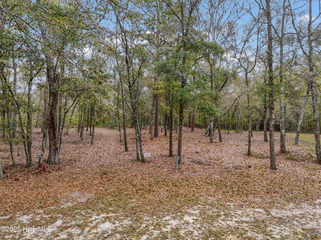 Photo of 584 Asphodel Drive SW, Supply, NC 28462 (MLS # 100591379)