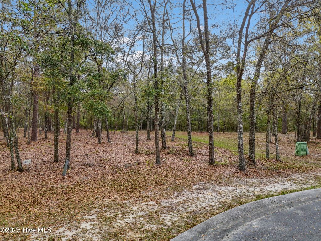 Photo of 584 Asphodel Drive SW, Supply, NC 28462 (MLS # 100591379)