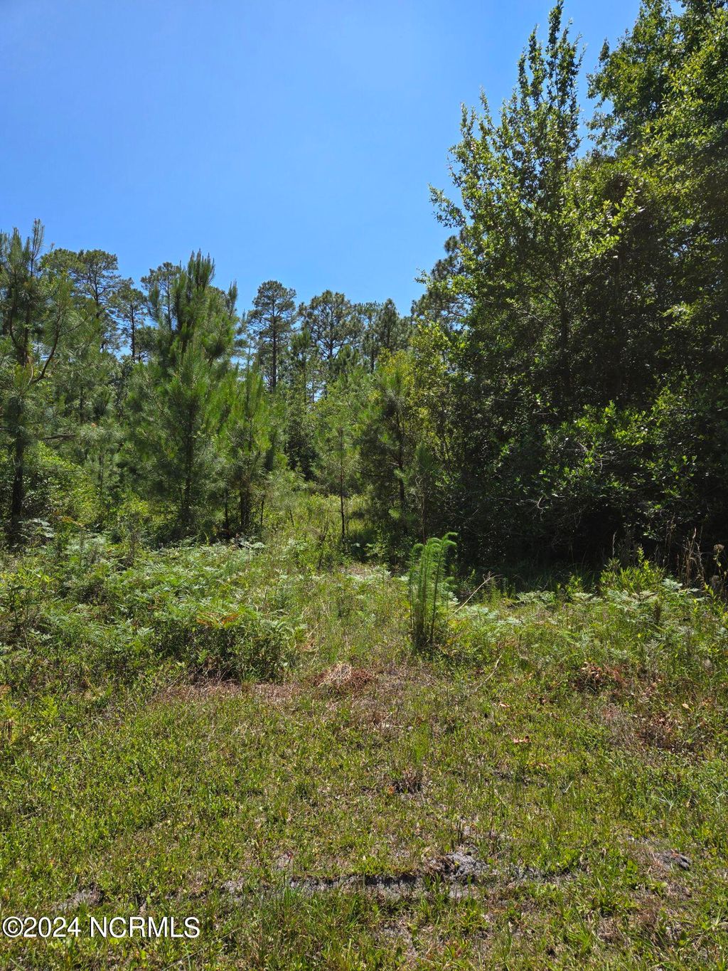 Photo of 371381 Elm Road, Boiling Spring Lakes, NC 28461 (MLS # 100449045)