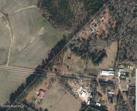 Photo of 1205 Croomsbridge Road, Burgaw, NC 28425 (MLS # 100552584)