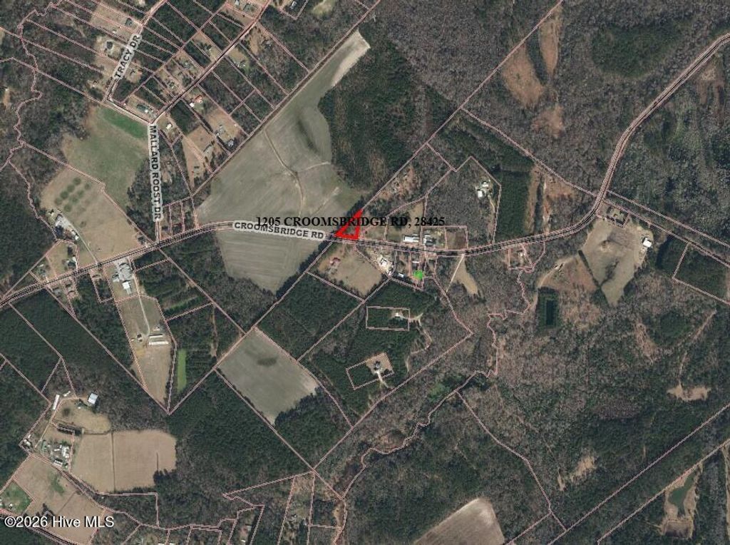 Photo of 1205 Croomsbridge Road, Burgaw, NC 28425 (MLS # 100552584)