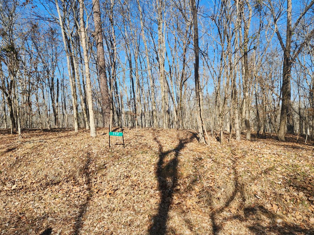 Photo of 262 Goose Road, Clarks Hill, SC 29821 (MLS # 551987)