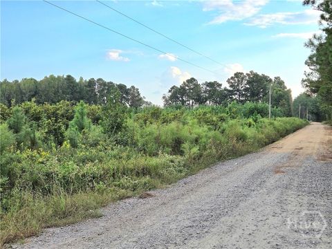 Vacant Land For Sale - G W Oliver Road<br/> Bulloch County, Statesboro, GA 30458