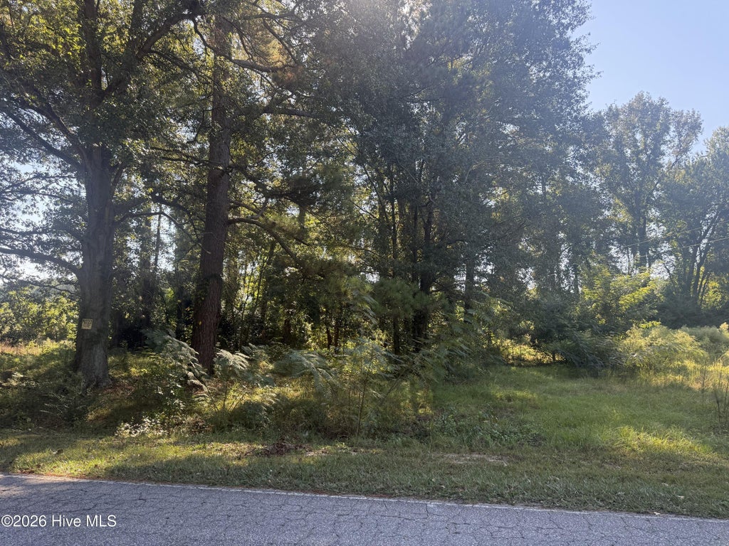 Photo of 102 Brooklyn Avenue, Harrells, NC 28444 (MLS # 100612934)