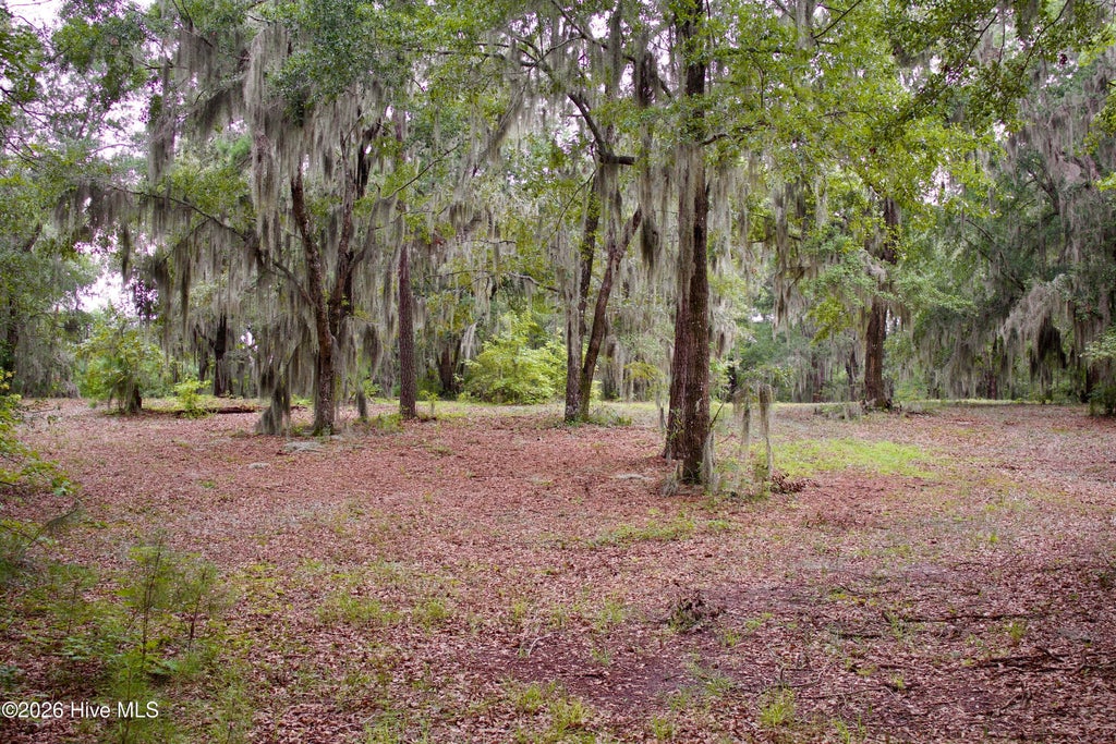 Photo of 385 Sand Ridge Road, New Bern, NC 28560 (MLS # 100592818)
