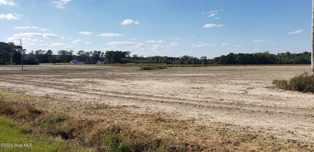 Photo of 510 Mitchell Loop Road, Roseboro, NC 28382 (MLS # 100574847)