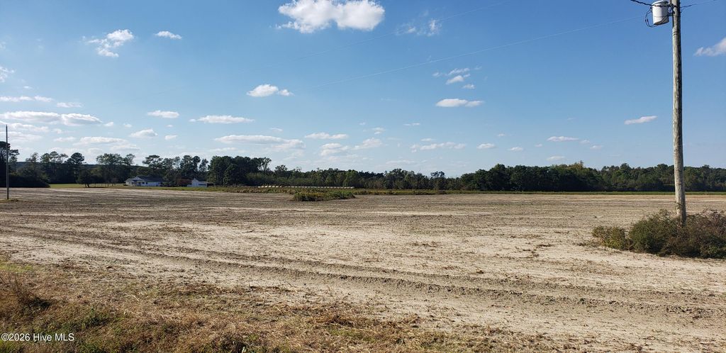 Photo of 510 Mitchell Loop Road, Roseboro, NC 28382 (MLS # 100574847)