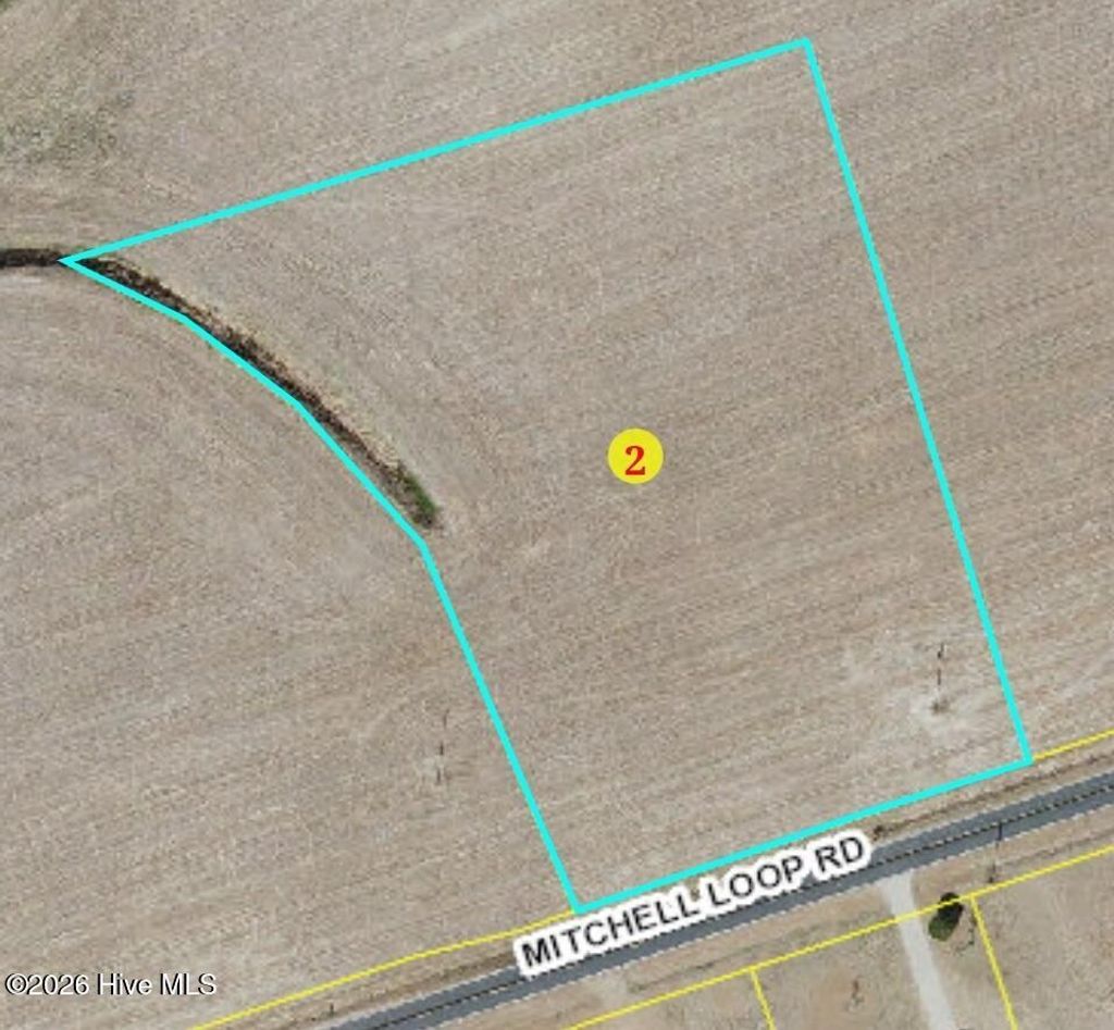 Photo of 510 Mitchell Loop Road, Roseboro, NC 28382 (MLS # 100574847)