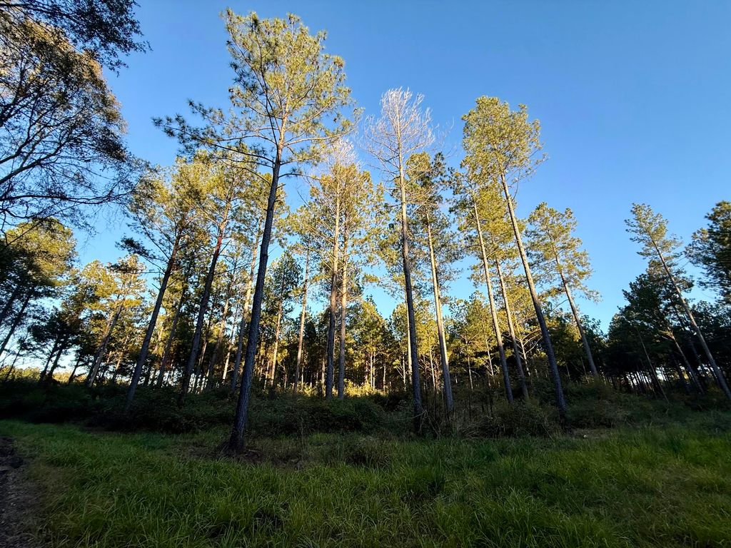 Photo of 0 Christian Rd Road, McCormick, SC 29835 (MLS # 551486)