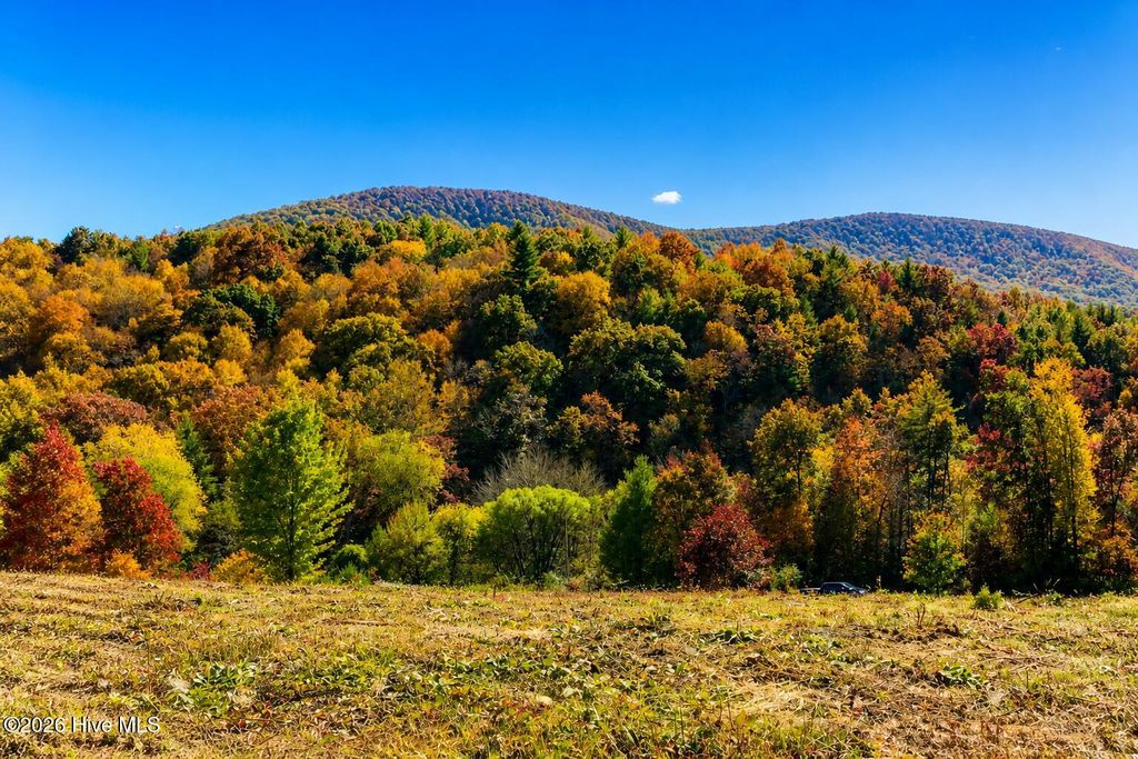 Photo of 488 Dewitt Road, Glade Valley, NC 28627 (MLS # 100571585)