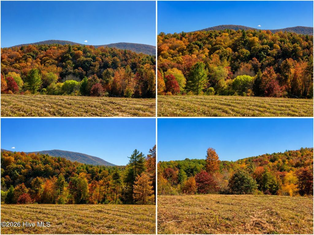 Photo of 488 Dewitt Road, Glade Valley, NC 28627 (MLS # 100571585)