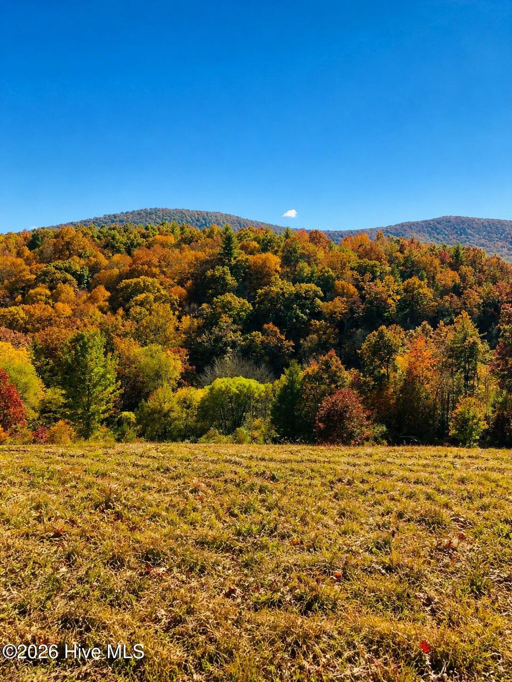 Photo of 488 Dewitt Road, Glade Valley, NC 28627 (MLS # 100571585)