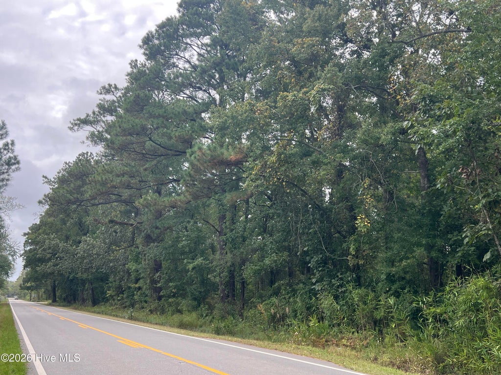 Photo of 0 Us-264, Belhaven, NC 27810 (MLS # 100605816)