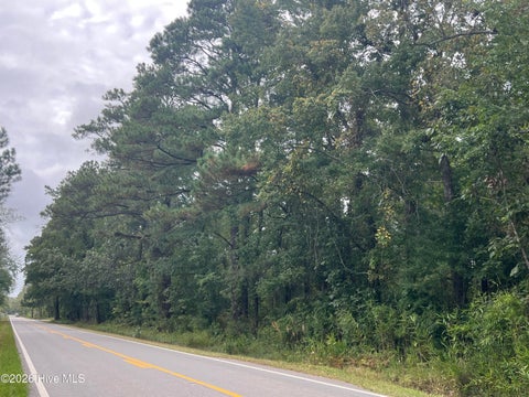 Vacant Land For Sale - Us-264<br/> Belhaven, NC 27810