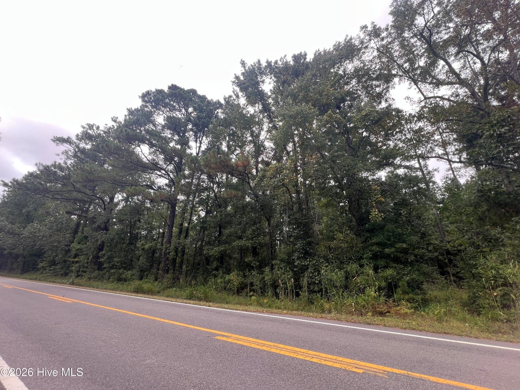 Photo of 0 Us-264, Belhaven, NC 27810 (MLS # 100605816)