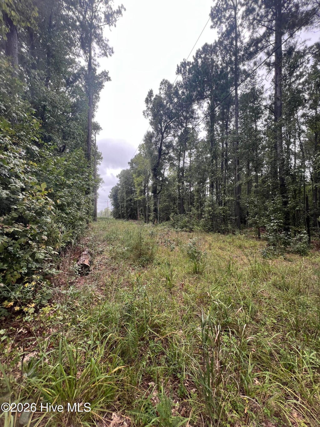 Photo of 0 Us-264, Belhaven, NC 27810 (MLS # 100605816)