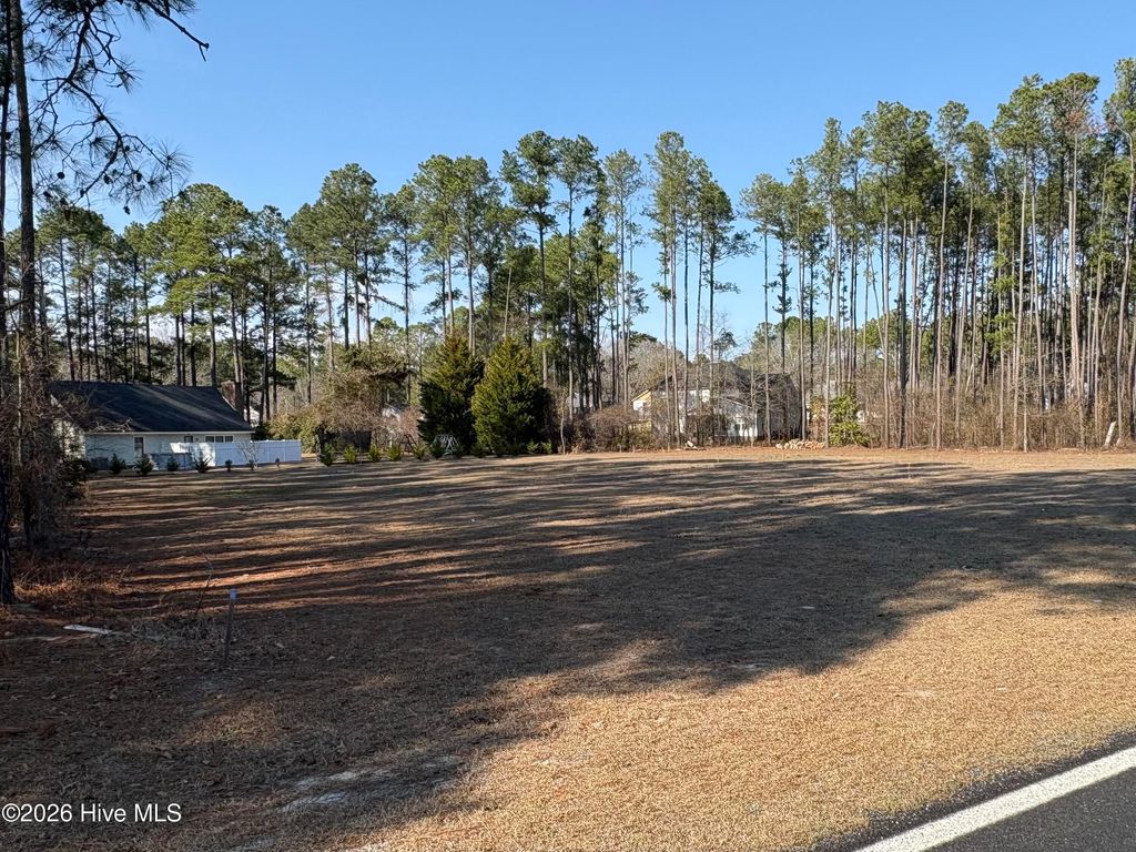 Photo of 56 Barnes Bridge Road, Laurinburg, NC 28352 (MLS # 100557597)