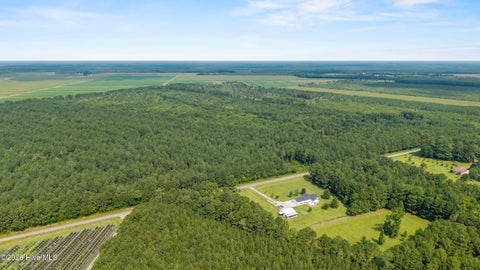 Tiny photo for 0 Indian Hill Road, Willard, NC 28478 (MLS # 100610106)
