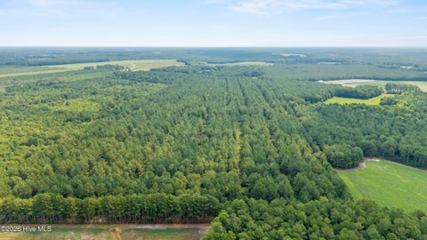 Tiny photo for 0 Indian Hill Road, Willard, NC 28478 (MLS # 100610106)