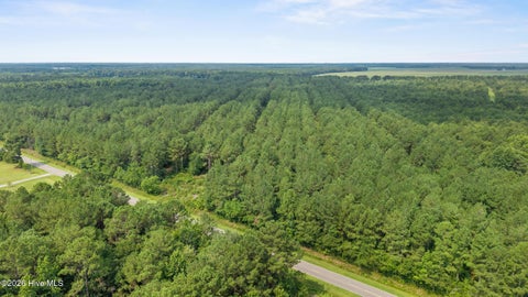 Tiny photo for 0 Indian Hill Road, Willard, NC 28478 (MLS # 100610106)