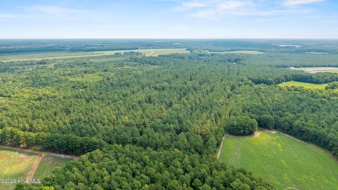Tiny photo for 0 Indian Hill Road, Willard, NC 28478 (MLS # 100610106)
