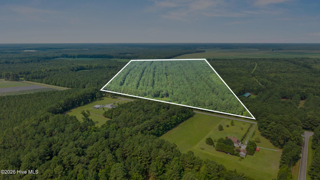 Photo of 0 Indian Hill Road, Willard, NC 28478 (MLS # 100610106)