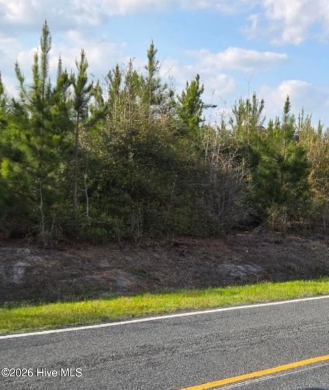 Vacant Land For Sale - NEAR 731 Macedonia Church Road<br/> Columbus County, Evergreen, NC 28438