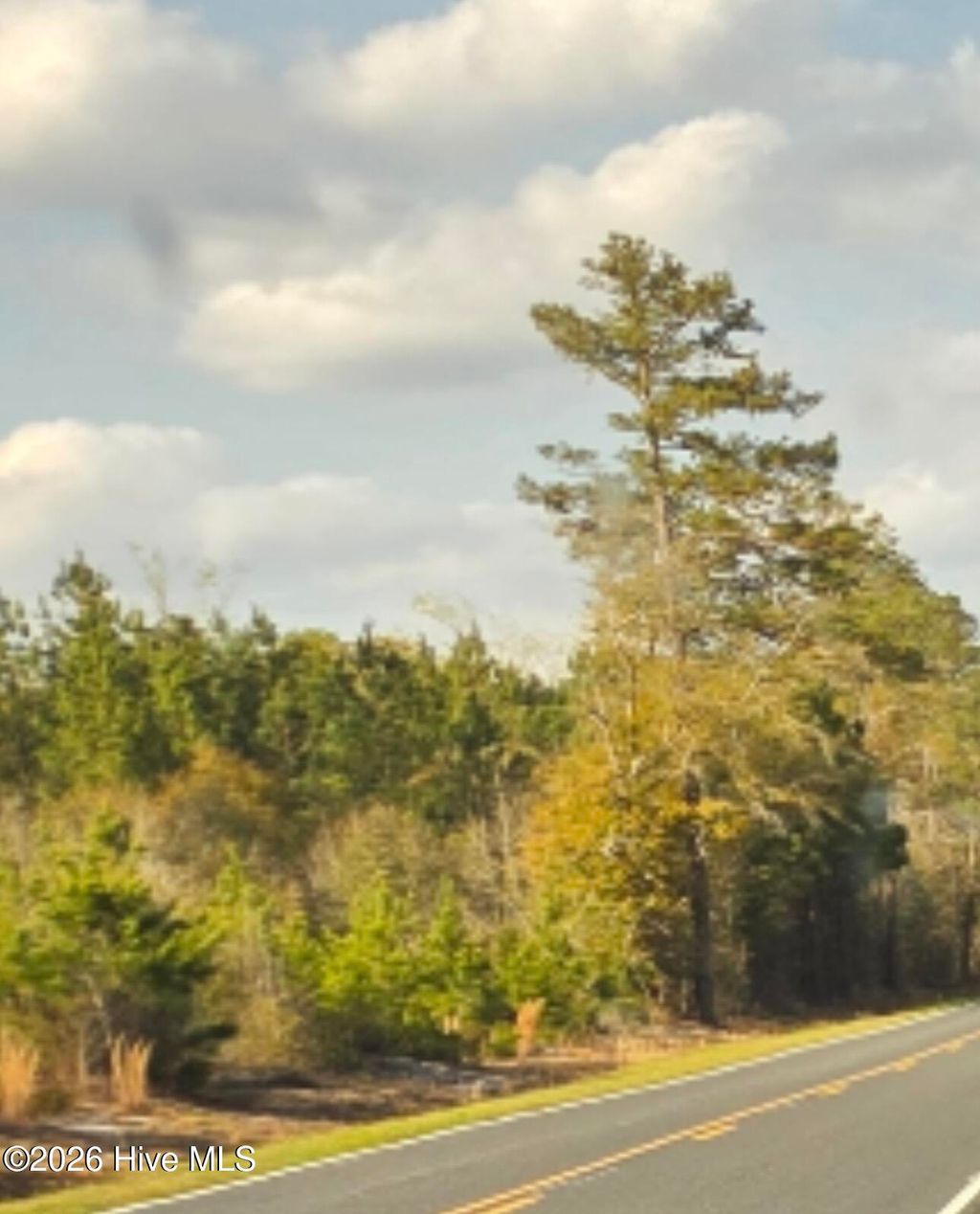 Photo of 731 Macedonia Church Road, Evergreen, NC 28438 (MLS # 100564530)