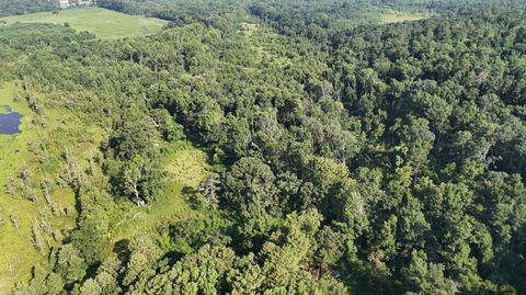 Vacant Land For Sale - Swamp Road<br/> Aiken County, Beech Island, SC 29842