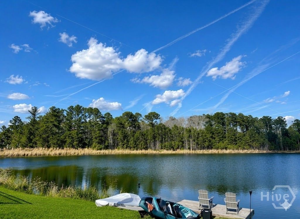 Photo of 268 Heron Creek Drive, Richmond Hill, GA 31324 (MLS # SA353756)