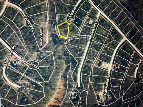 Vacant Land For Sale - BL13 LT19 Logan Ln<br/> Mccormick County, McCormick, SC 29835