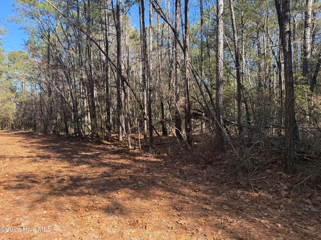 Photo of 464 Sweet Gum Drive, Vass, NC 28394 (MLS # 100551043)