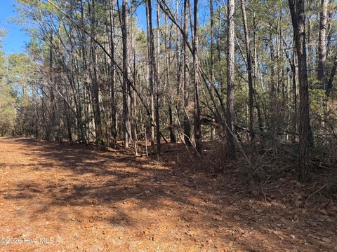 Vacant Land For Sale - 464 Sweet Gum Drive<br/> Vass, NC 28394