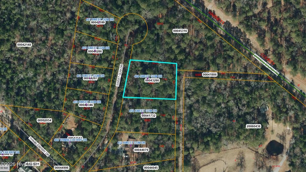 Photo of 464 Sweet Gum Drive, Vass, NC 28394 (MLS # 100551043)