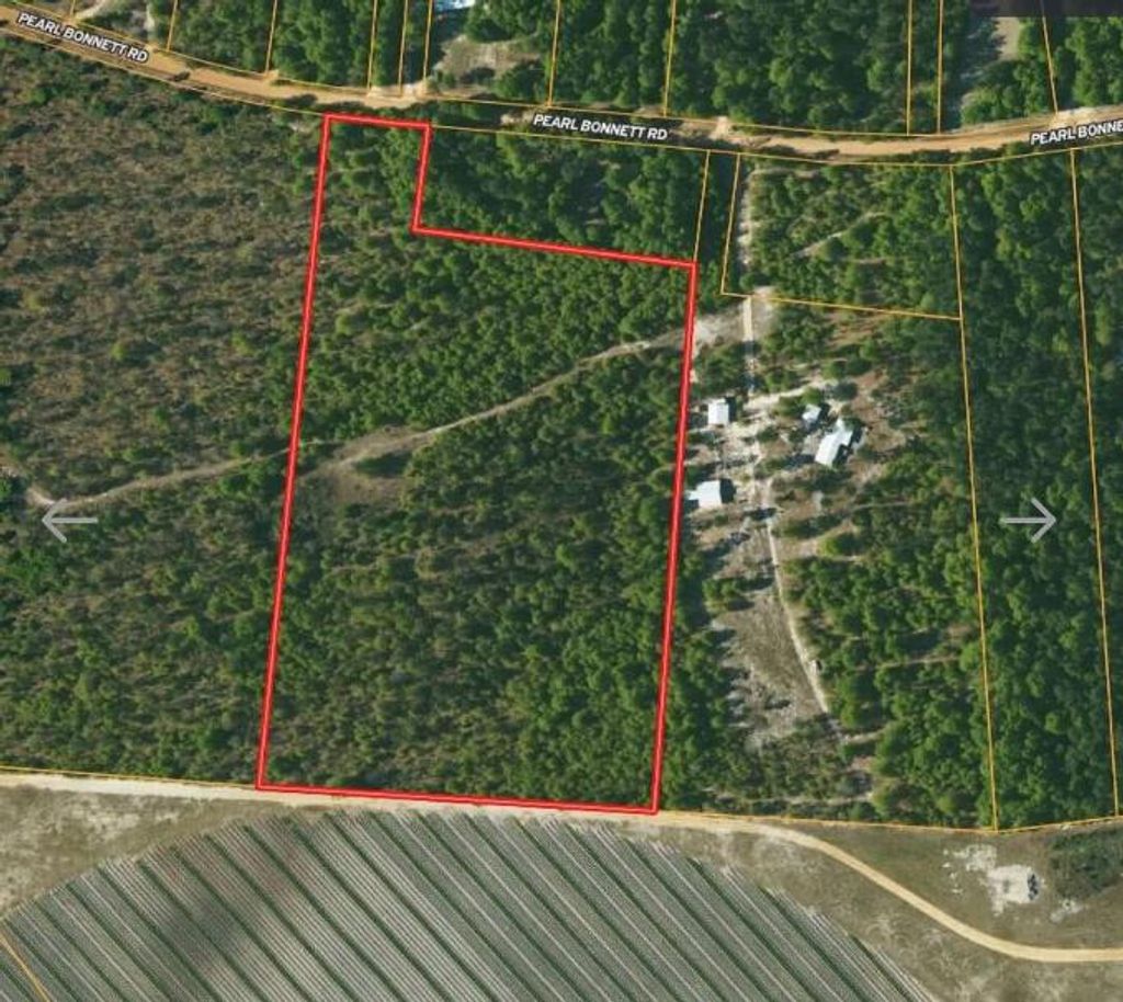 Photo of 7 Pearl Bonnett, Windsor, SC 29856 (MLS # 551126)