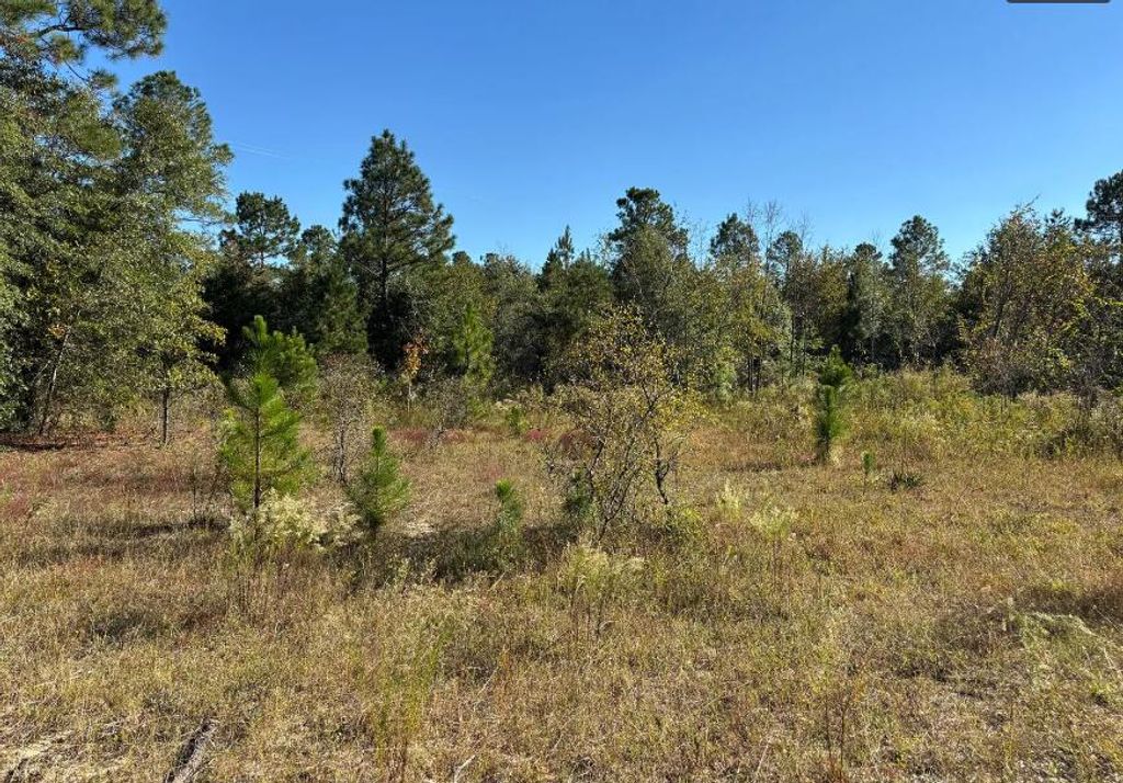 Photo of 7 Pearl Bonnett, Windsor, SC 29856 (MLS # 551126)