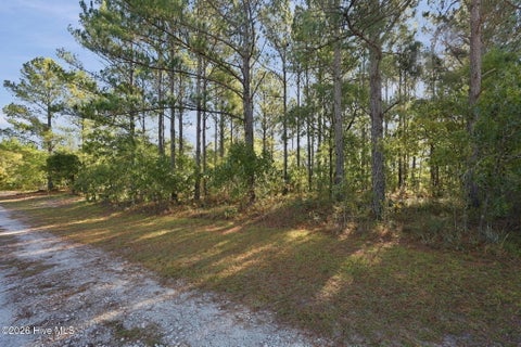 Photo of 311 Old Folkstone Road, Holly Ridge, NC 28445 (MLS # 100612851)