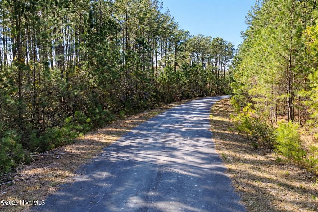 Photo of 120 Water Oak Drive, Oriental, NC 28571 (MLS # 100561372)