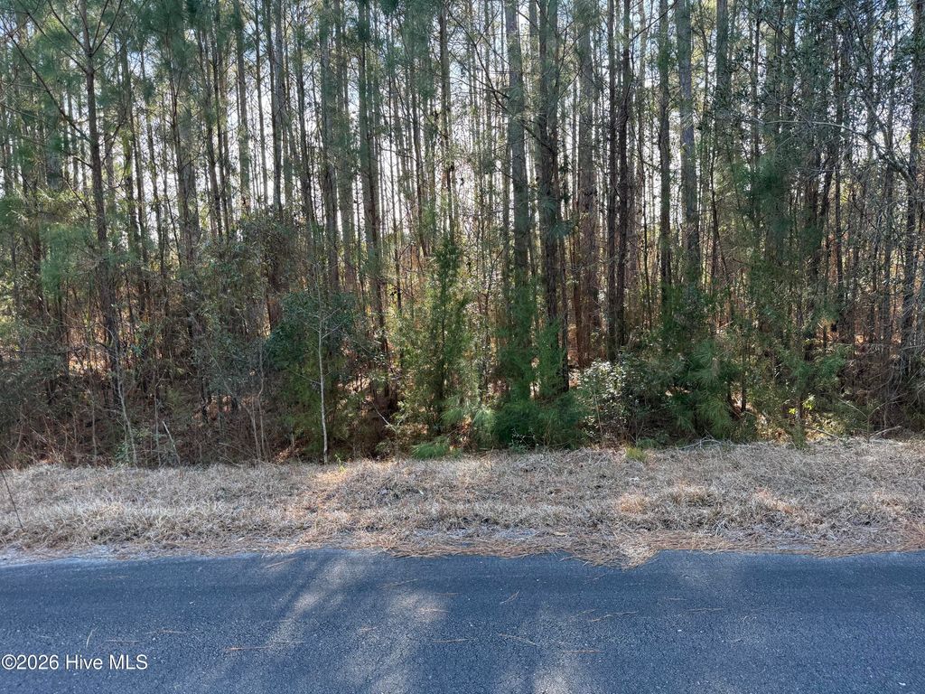 Photo of 120 Water Oak Drive, Oriental, NC 28571 (MLS # 100561372)
