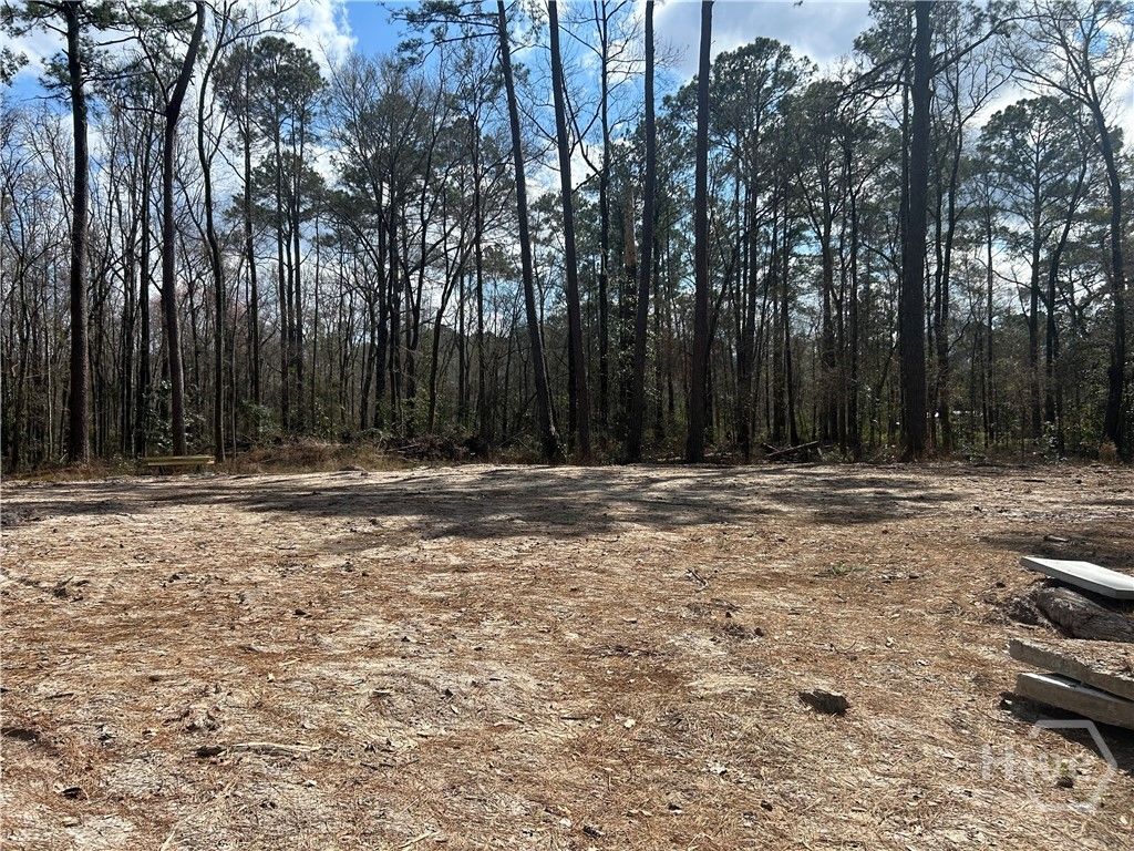 Photo of 0 Little McCall Road, Rincon, GA 31326 (MLS # SA350309)