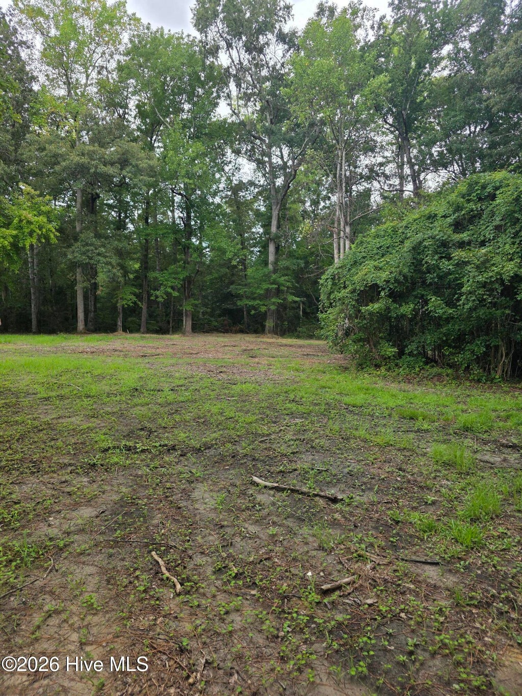 Photo of 150 N Castle Drive, New Bern, NC 28562 (MLS # 100598185)