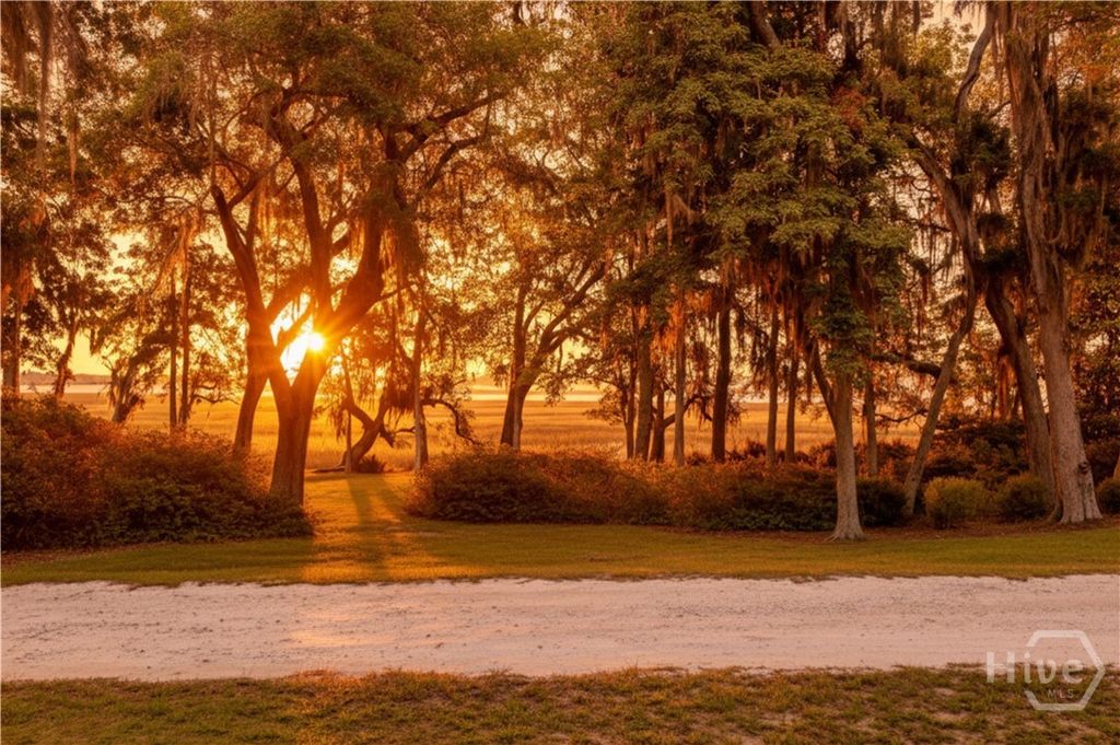 Photo of 0 Brigantine Dunmore Road, Sunbury, GA 31320 (MLS # SA358977)