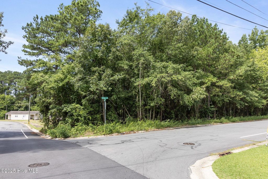 Photo of 5556 Hood Avenue, Fayetteville, NC 28301 (MLS # 100576555)