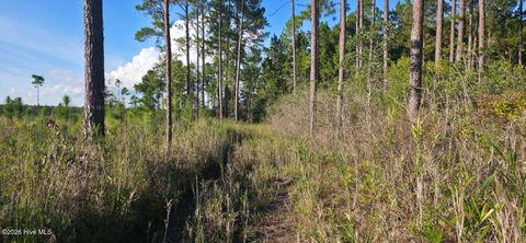 Tiny photo for 1057 Egypt Road NW, Ash, NC 28420 (MLS # 100547906)