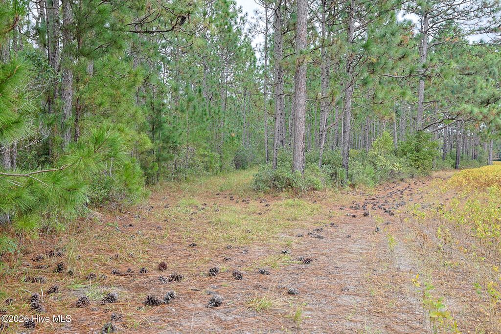 Photo of 1057 Egypt Road NW, Ash, NC 28420 (MLS # 100547906)