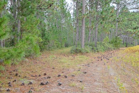 Tiny photo for 1057 Egypt Road NW, Ash, NC 28420 (MLS # 100547906)