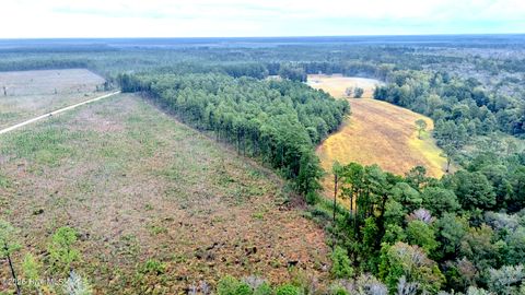 Tiny photo for 1057 Egypt Road NW, Ash, NC 28420 (MLS # 100547906)