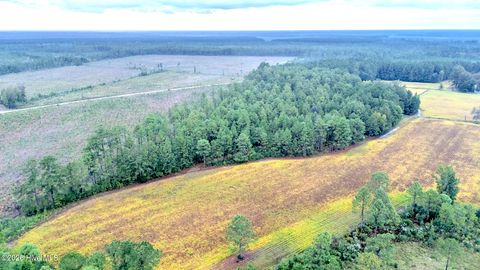 Tiny photo for 1057 Egypt Road NW, Ash, NC 28420 (MLS # 100547906)