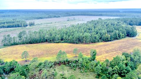 Tiny photo for 1057 Egypt Road NW, Ash, NC 28420 (MLS # 100547906)